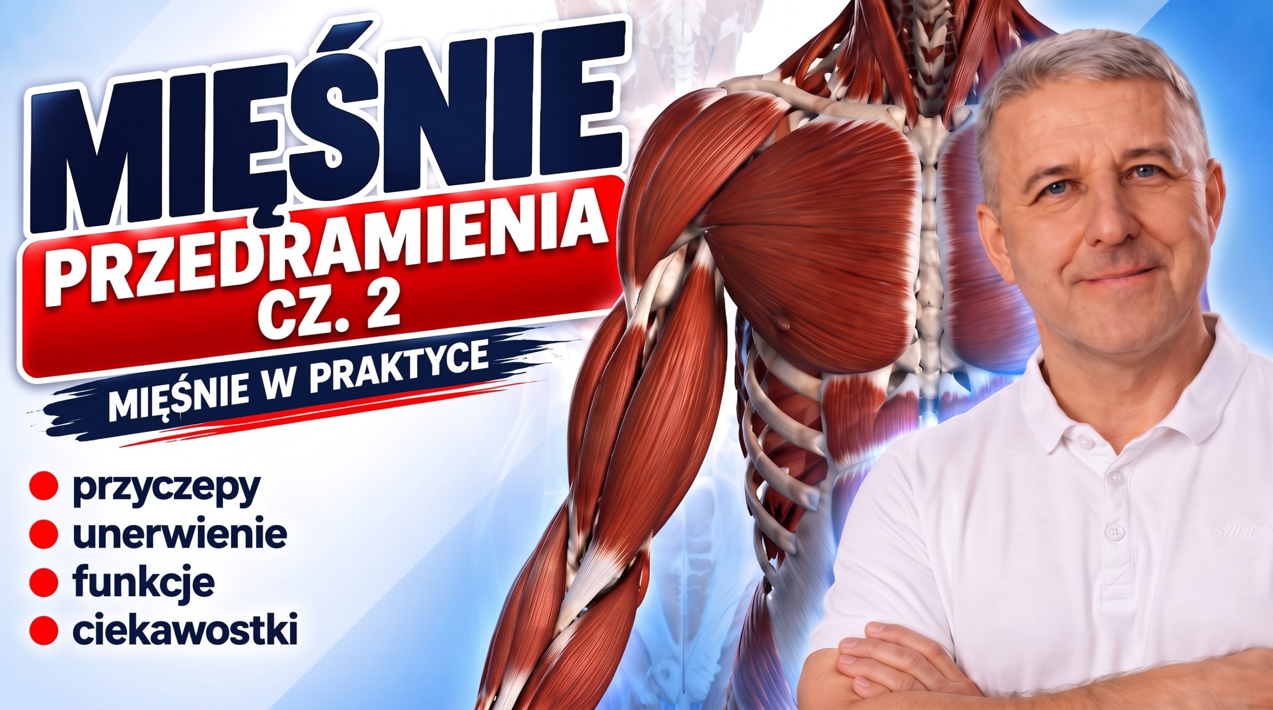 Mięśnie przedramienia – część 2 | Budowa, funkcje i unerwienie